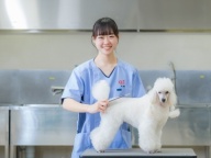 実習豊富な授業でわんちゃんのグルーミングを学ぶ!本当に学びたいなら河原アイペット!