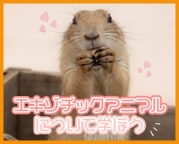 めずらしい動物たちの世界をのぞいてみよう!