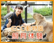 動物園で働きたい方必見の講座!動物園での展示のヒミツ、教えます!