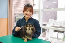 自宅でペットビジネス学科＆愛玩動物看護学科がわかる！