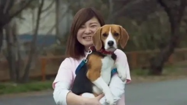 １人１頭の子犬と1,000頭以上の実習動物と学ぶ『つくば国際ペット専門学校』（つくば国際ペット専門学校)