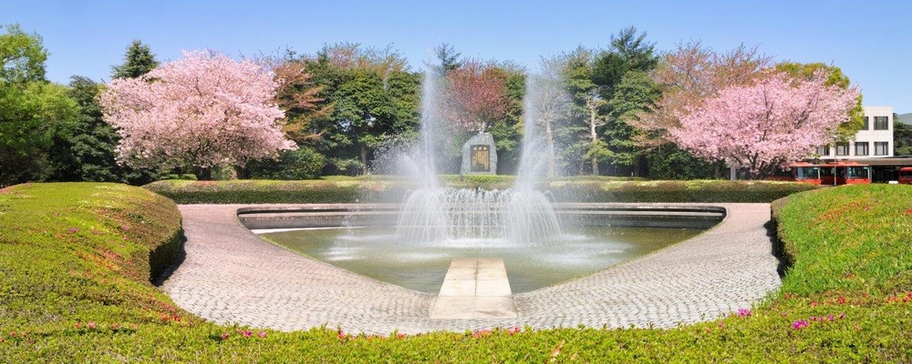 日本薬科大学 PRイメージ