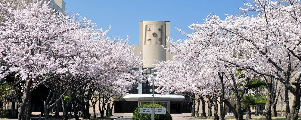 上武大学 PRイメージ