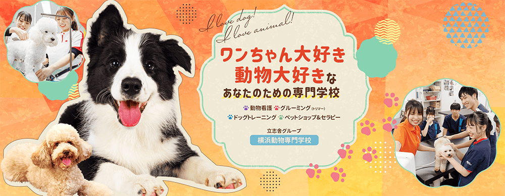 横浜動物専門学校 PRイメージ
