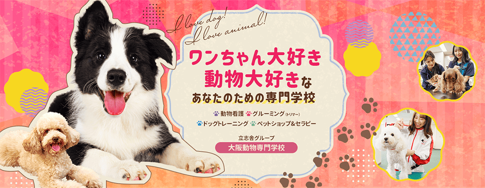 大阪動物専門学校 PRイメージ
