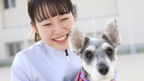 大阪ペピイ動物看護専門学校 ポリシーは「動物にストレスをかけない」