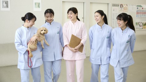 大阪ペピイ動物看護専門学校 困った時は、クラス担任が親身にサポート