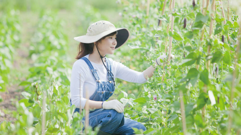 大阪農業園芸・食テクノロジー専門学校 新規就農サポート