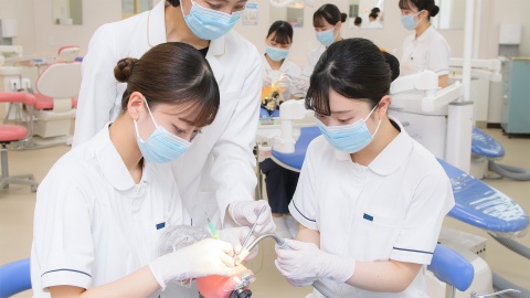東北歯科専門学校 質の高い講義と豊富な実習で、高度な知識と技術を学ぶ