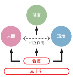 日本赤十字豊田看護大学 カリキュラム編成の基本となる5つの主要概念