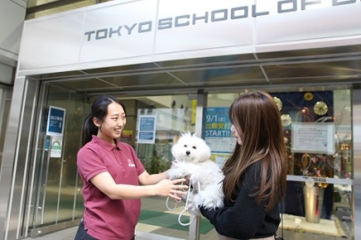 専門学校 東京ビジネス・アカデミー（ペットビジネス学科・愛玩動物看護学科） モデル犬制度