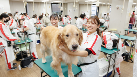 横浜動物専門学校 プロになるための施設・設備が充実しています！