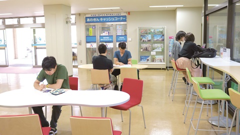 鳴門教育大学 その他資格