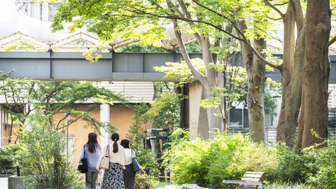 武蔵大学 池袋、新宿、渋谷から電車で1本。緑豊かなワンキャンパスで4年間学ぶ