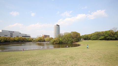 東京医療学院大学 多摩の自然に囲まれた開放的なキャンパス