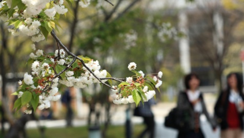 京都文教大学 奨学金制度