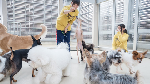専門学校 福岡ビジョナリーアーツ 常時開放の「犬舎・猫舎」や最新設備の清潔感あふれる実習教室を完備!