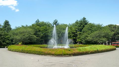 日本薬科大学 建学の精神「個性の伸展による人生練磨」