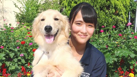 つくば国際ペット専門学校 パートナードッグシステム