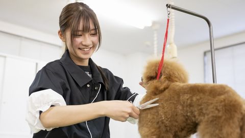 中央動物看護専門学校 現場で役立つ豊富な実習~動物美容学科*~