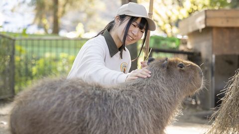 中央動物看護専門学校 現場で役立つ豊富な実習~動物飼育学科~