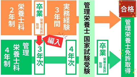 東京栄養食糧専門学校 内部進学制度でステップアップが可能!