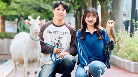 TCA東京ECO動物海洋専門学校 Wメジャーカリキュラム