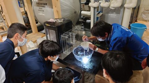 TCA東京ECO動物海洋専門学校 企業プロジェクト