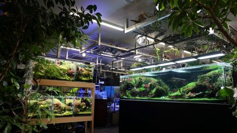 TCA東京ECO動物海洋専門学校 水族館・動物園・博物館がある学校