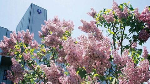 北星学園大学 全学科において教育職員免許取得を目指せます。各種国家資格の対策講座も実施。