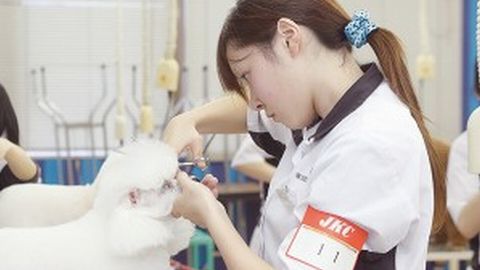 東北愛犬専門学校 万全の資格取得サポート