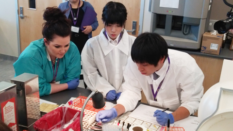 大阪医療技術学園専門学校 海外研修プログラム