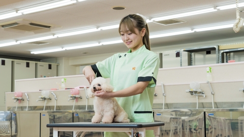 YIC京都ペット総合専門学校 圧倒的な実習量で実践力を養成