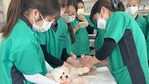 YIC京都ペット総合専門学校 獣医師と連携した、高度なカリキュラム