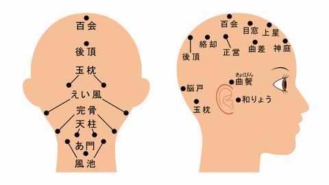 名古屋医健スポーツ専門学校 人気NO.1制度!興味に合わせて授業が選べる「選択ゼミ」