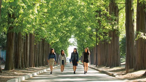 東海大学 学びを深めたい人は大学院へ進学!