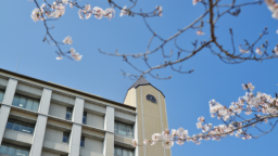 大阪樟蔭女子大学