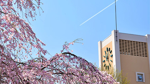 宮城教育大学 PRイメージ1