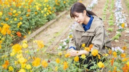 日本ガーデンデザイン専門学校