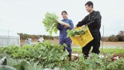 新潟食料農業大学