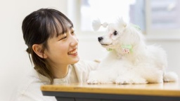 愛犬美容看護専門学校