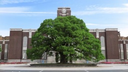 京都大学