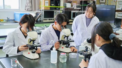 皇學館大学 PRイメージ2