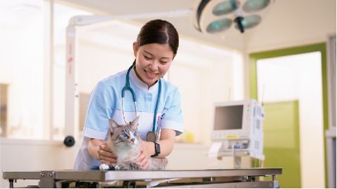 沖縄ペットワールド専門学校 PRイメージ1