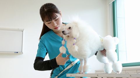 セントラル動物専門学校 PRイメージ1