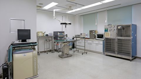 セントラル動物専門学校 PRイメージ3