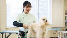 仙台総合ペット専門学校