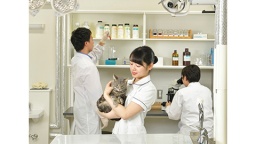 日本獣医生命科学大学