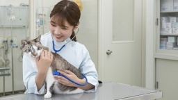 宮崎ペットワールド専門学校