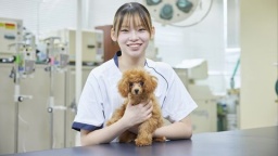 大宮国際動物専門学校